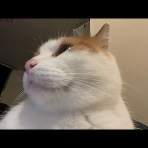 Meet your Posher, Chi